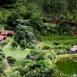 Lac Vao Ngoi Lang Cu Lan Dep Nhu Co Tich O Da Lat Ivivu 1