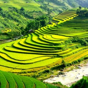 Tour Du LỊch Sapa