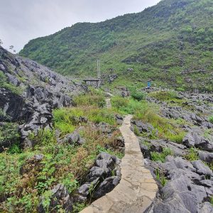 343133109 174369381833180 4895163475957886564 N