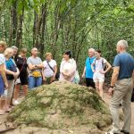 Z7349765338518 Fd08ea5b7f2884825cc027847de3a4d3